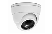 Camera IP AVTECH | Camera IP Dome hồng ngoại AVTECH AVN320P