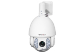 Camera IP VANTECH | Camera IP Speed Dome hồng ngoại Zoom 20x VANTECH VP-4562M