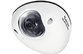 Camera IP Vivotek | Camera IP Dome 1.2 Megapixel Vivotek MD8531H