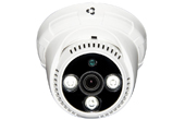 Camera VANTECH | Camera AHD Dome hồng ngoại VANTECH VP-1113AHD