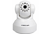 Camera IP FOSCAM | Camera IP HD hồng ngoại không dây FOSCAM FI9816P