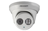 Camera IP HIKVISION | Camera IP Dome hồng ngoại 1.3 Megapixel HIKVISION DS-2CD2312-I