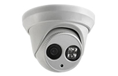 Camera HDPARAGON | Camera PICADIS Dome hồng ngoại 1.3 Megapixel HDPARAGON HDS-5785P-IR3