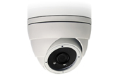 Camera IP AVTECH | Camera IP Dome hồng ngoại 2.0 Megapixel AVTECH AVM2220P