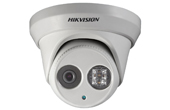 Camera IP HIKVISION | Camera IP Dome hồng ngoại 2.0 Megapixel HIKVISION DS-2CD2322WD-I