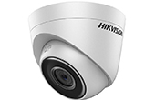 Camera IP HIKVISION | Camera IP Dome hồng ngoại 1.0 Megapixel HIKVISION DS-2CD1301-I