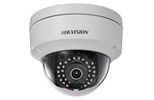 Camera IP HIKVISION | Camera IP Dome hồng ngoại 1.3 Megapixel HIKVISION HIK-IP6110F-I