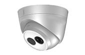 Camera IP HDPARAGON | Camera IP Dome hồng ngoại 1.0 Megapixel HDPARAGON HDS-2110IRP