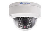 Camera IP HDPARAGON | Camera IP Dome hồng ngoại không dây 2.0 Megapixel HDPARAGON HDS-2120IRAW