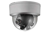 Camera IP HDPARAGON | Camera IP toàn cảnh 180º 8.0 Megapixel HDPARAGON HDS-PA6986-DN