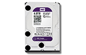 Ổ cứng HDD WESTERN | Ổ cứng chuyên dụng 4TB WESTERN PURPLE WD40PURX-78