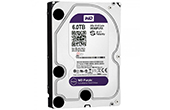 Ổ cứng HDD WESTERN | Ổ cứng chuyên dụng 6TB WESTERN PURPLE WD60PURX-78