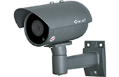 Camera VANTECH | Camera HD-TVI 2.0 Megapixel VANTECH VP-402ST