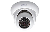 Camera IP DAHUA | Camera IP Dome hồng ngoại 1.3 Megapixel DAHUA IPC-HDW1120SP