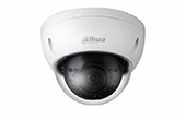 Camera IP DAHUA | Camera IP Dome hồng ngoại 2.0 Megapixel DAHUA IPC-HDBW4220EP