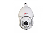 Camera IP DAHUA | Camera IP Speed Dome hồng ngoại 1.3 Megapixel DAHUA SD6C120T-HN