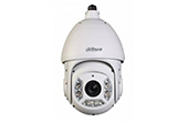 Camera IP DAHUA | Camera IP Speed Dome hồng ngoại 2.0 Megapixel DAHUA SD6C220T-HN