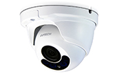 Camera AVTECH | Camera HD-TVI Dome hồng ngoại 2.0 Megapixel AVTECH DGC1304AP