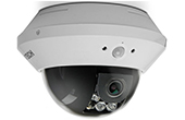 Camera AVTECH | Camera HD-TVI Dome hồng ngoại 2.0 Megapixel AVTECH AVT1303AP