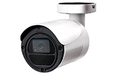 Camera IP AVTECH | Camera IP hồng ngoại 2.0 Megapixel AVTECH DGM1105QSP