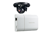 Camera IP Hanwha Vision | Camera IP ngụy trang 2.0 Megapixel Hanwha Techwin WISENET SNB-6010B/KAP