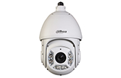 Camera DAHUA | Camera HDCVI Speed Dome hồng ngoại 2.0 Megapixel DAHUA SD6C225I-HC