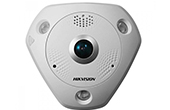 Camera IP HIKVISION | Camera IP Fisheye hồng ngoại 6.0 Megapixel HIKVISION DS-2CD6362F-I