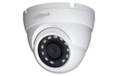 Camera IP DAHUA | Camera IP Eyeball hồng ngoại 2.0 Megapixel DAHUA IPC-HDW4231M