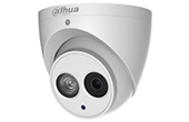 Camera IP DAHUA | Camera IP Eyeball hồng ngoại 8.0 Megapixel DAHUA IPC-HDW4830EM-AS