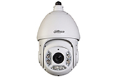 Camera IP DAHUA | Camera IP Speed Dome hồng ngoại 2.0 Megapixel DAHUA SD6C225U-HNI