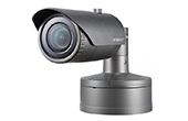 Camera IP Hanwha Vision | Camera IP hồng ngoại 5.0 Megapixel Hanwha Techwin WISENET XNO-8030R/KAP