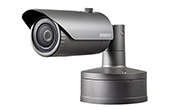 Camera IP Hanwha Vision | Camera IP hồng ngoại 2.0 Megapixel Hanwha Techwin WISENET XNO-6020R/KAP