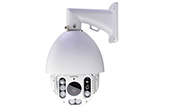 Camera IP AVTECH | Camera IP Speed Dome hồng ngoại 2.0 Megapixel AVTECH AVM2592L