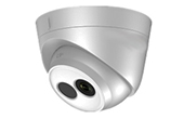 Camera IP HDPARAGON | Camera IP Dome hồng ngoại 2.0 Megapixel HDPARAGON HDS-2120IRP/D