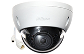 Camera IP DAHUA | Camera IP Dome hồng ngoại 2.0 Megapixel DAHUA IPC-HDBW1220EP-S