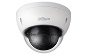 Camera IP DAHUA | Camera IP Dome hồng ngoại 2.0 Megapixel DAHUA IPC-HDBW1230EP-S