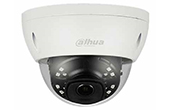 Camera IP DAHUA | Camera IP Dome hồng ngoại 2.0 Megapixel DAHUA IPC-HDBW4231EP-ASE