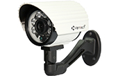 Camera VANTECH | Camera HDI hồng ngoại 2.0 Megapixel VANTECH VP-3244HDI