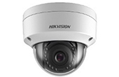 Camera IP HIKVISION | Camera IP Dome hồng ngoại 2.0 Megapixel HIKVISION DS-2CD2121G0-IS