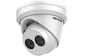 Camera IP HIKVISION | Camera IP Dome hồng ngoại 2.0 Megapixel HIKVISION DS-2CD2323G0-I