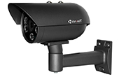 Camera IP VANTECH | Camera IP hồng ngoại 5.0 Megapixel VANTECH VP-154E