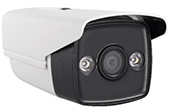 Camera HIKVISION | Camera HD-TVI 2.0 Megapixel HIKVISION DS-2CE16D0T-WL5