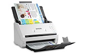 Máy Scanner EPSON | Máy quét màu EPSON DS530