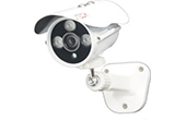 Camera IP J-TECH | Camera IP hồng ngoại 2.0 Megapixel J-TECH SHD5602B