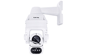 Camera IP Vivotek | Camera IP Speed Dome hồng ngoại 2.0 Megapixel Vivotek SD9365-EHL