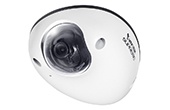 Camera IP Vivotek | Camera IP Dome 2.0 Megapixel Vivotek MD8563-DEH