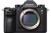 Máy ảnh SONY | Máy ảnh SONY ALPHA ILCE-9