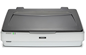 Máy Scanner EPSON | Máy quét màu EPSON EXP-12000XL