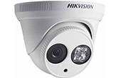 Camera IP HIKVISION | Camera IP Dome hồng ngoại 2.0 Megapixel HIKVISION DS-2CD2321G0-I/NF