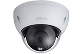 Camera IP DAHUA | Camera IP Dome hồng ngoại 8.0 Megapixel DAHUA IPC-HDBW1831RP